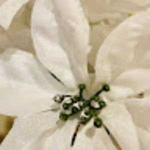 Meet your Posher, M.